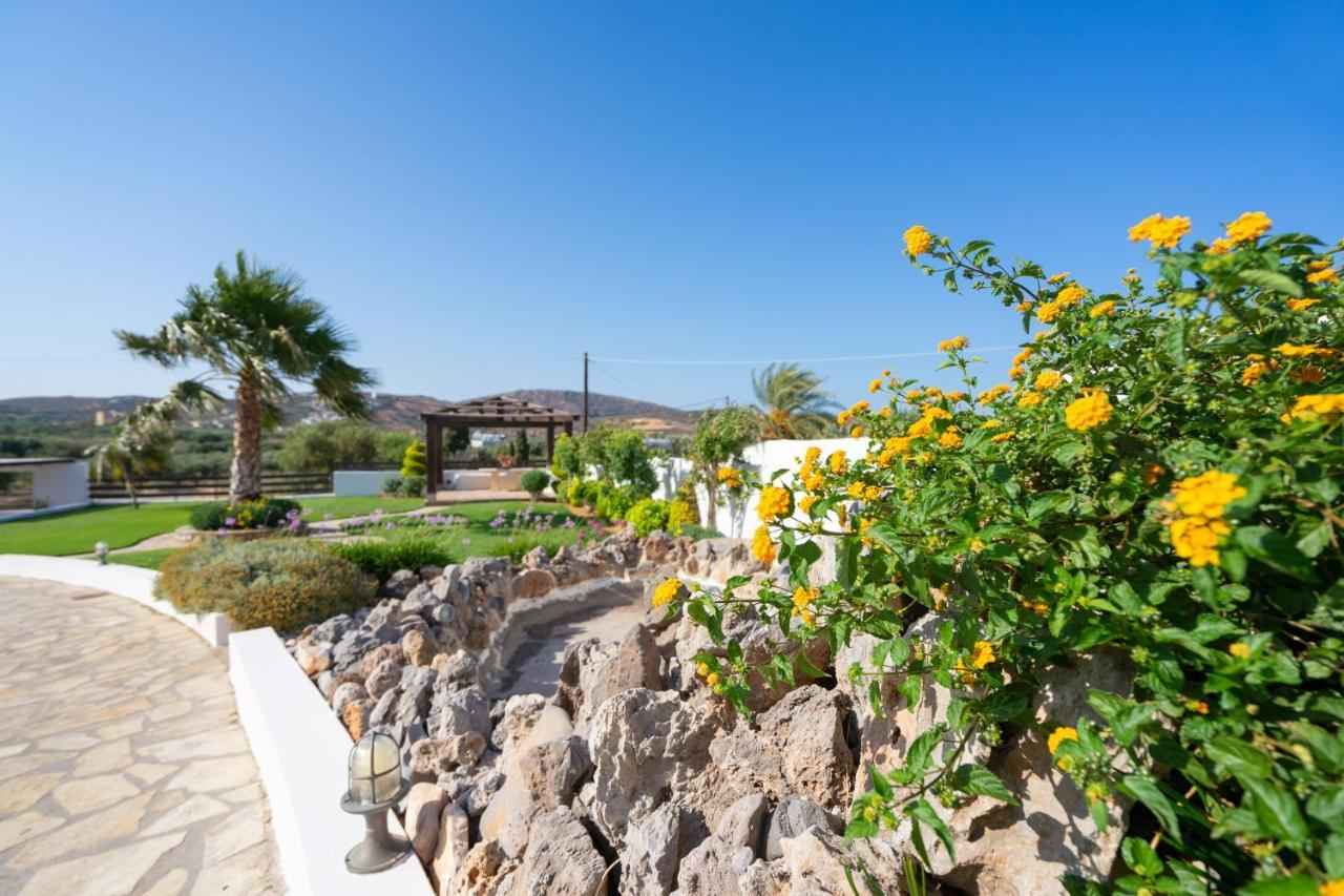 Georgia'S Apartments Kouremenos Beach Anevato Eksteriør bilde